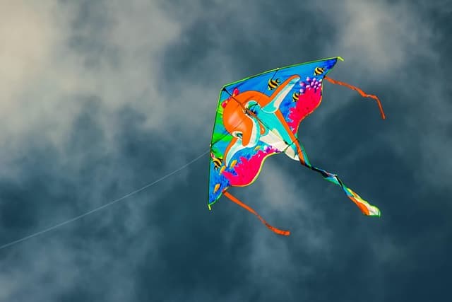 kite